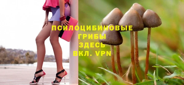 дурь Абинск