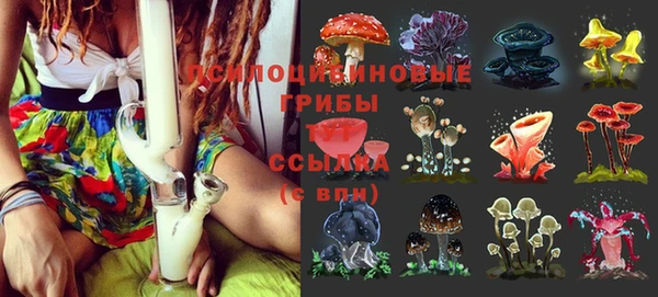 дурь Абинск